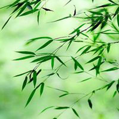 数码究极进化官方版下载