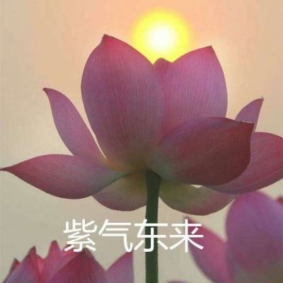 隐藏的重剑下载